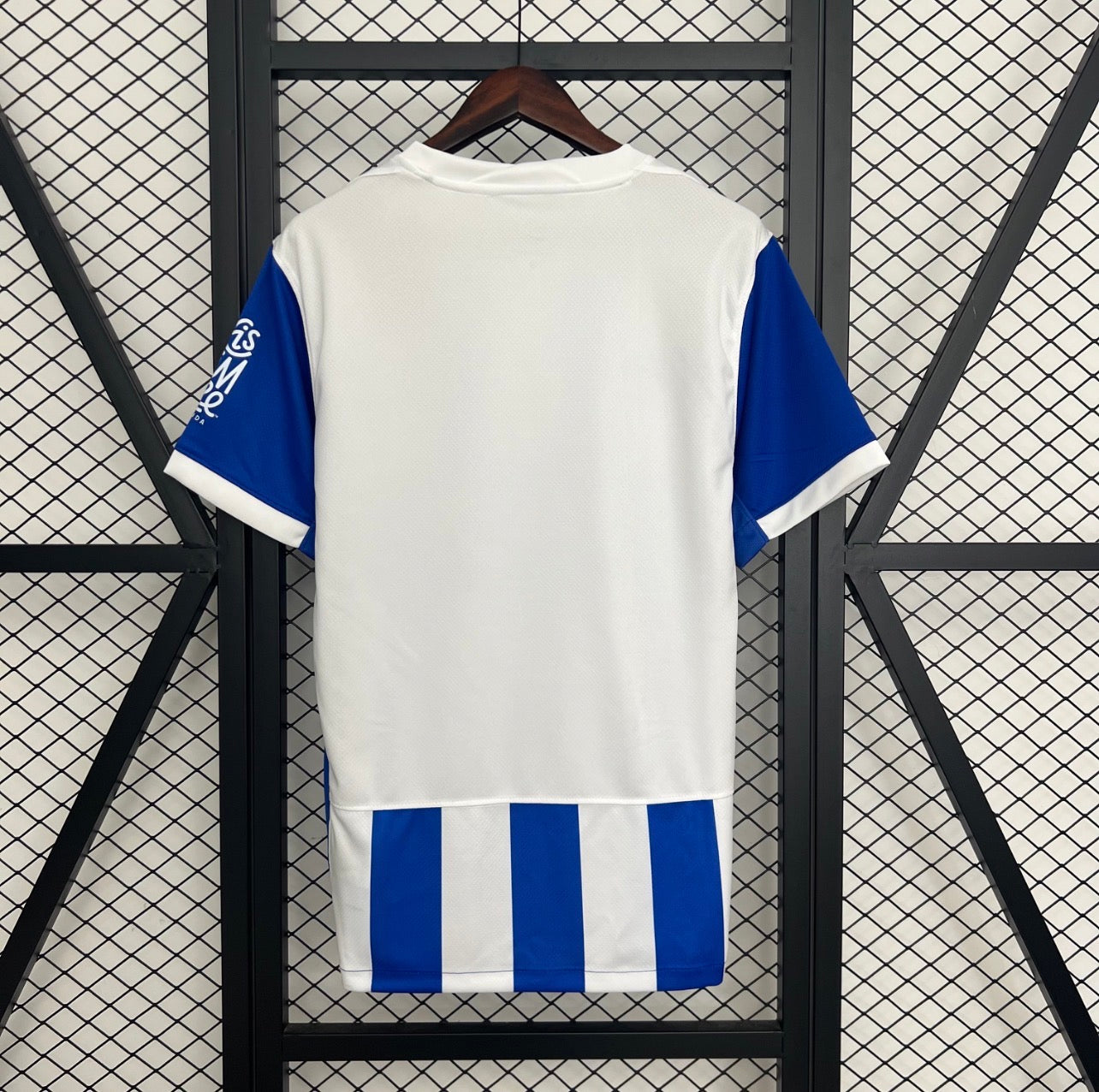 Brighton 2025/26 Home Kit